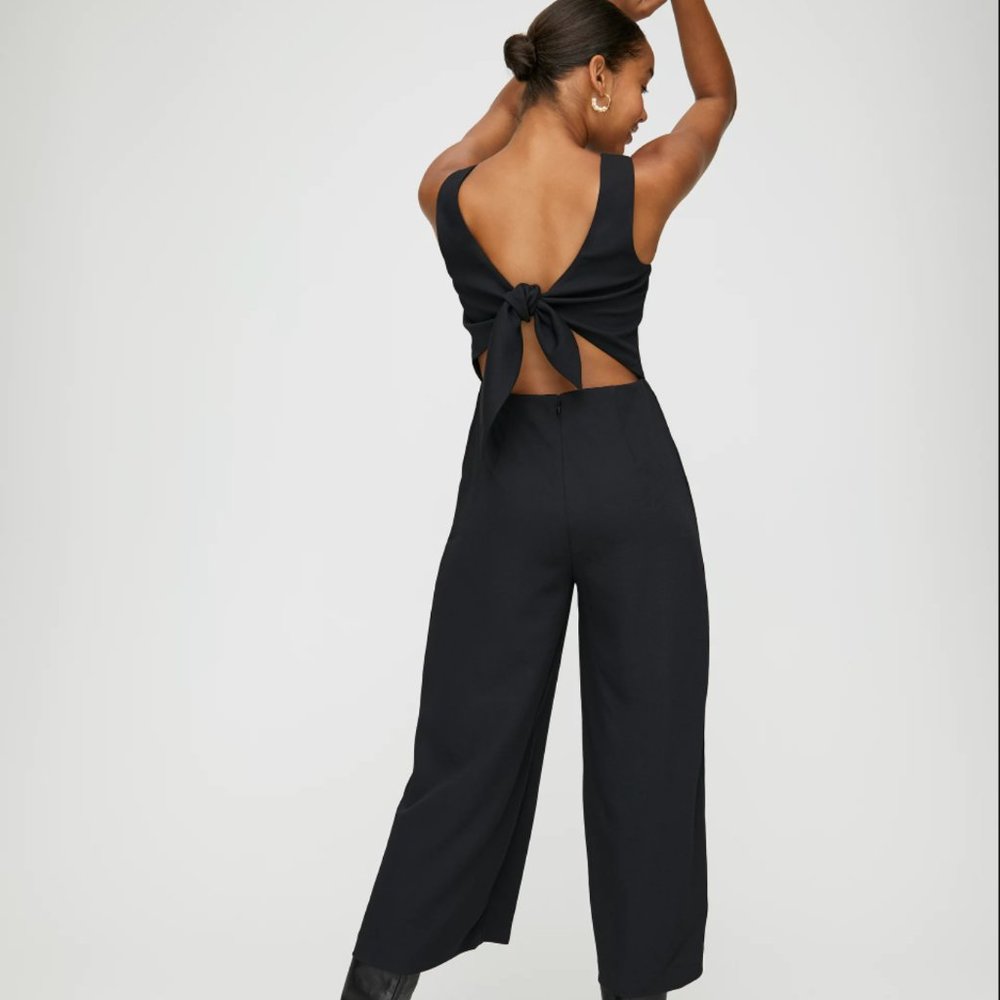 Aritzia Wilfred Écoulement Jumpsuit